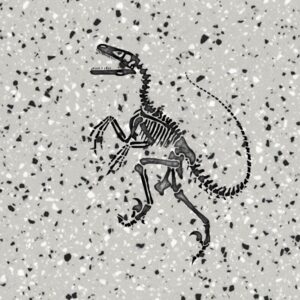 Terrazzo fosil şekli